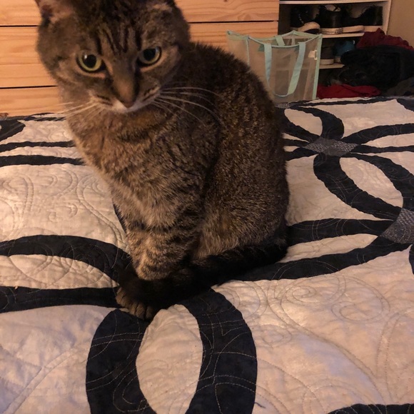 Meet your Posher, Corinne - Picture 9 of 12